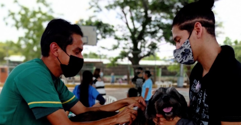 ¡JORNADAS VETERINARIAS! Alcaldía de Maracaibo ha vacunado más de 4 mil caninos y felinos contra la rabia