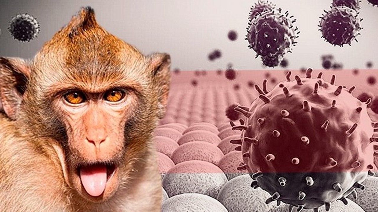 ¡NAM SALUDABLE! Viruela del Mono se expande, pero no se requiere campañas de vacunación masiva aún