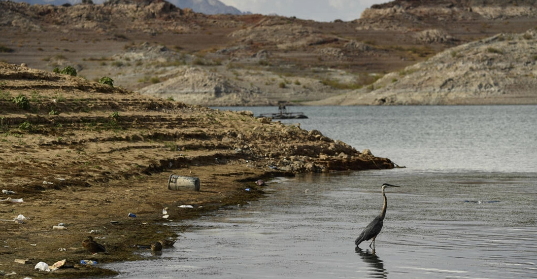 ¡LA SEQUÍA ESTÁ FUERTE! EEUU recorta cuotas de agua del Río Colorado a algunos estados y a México
